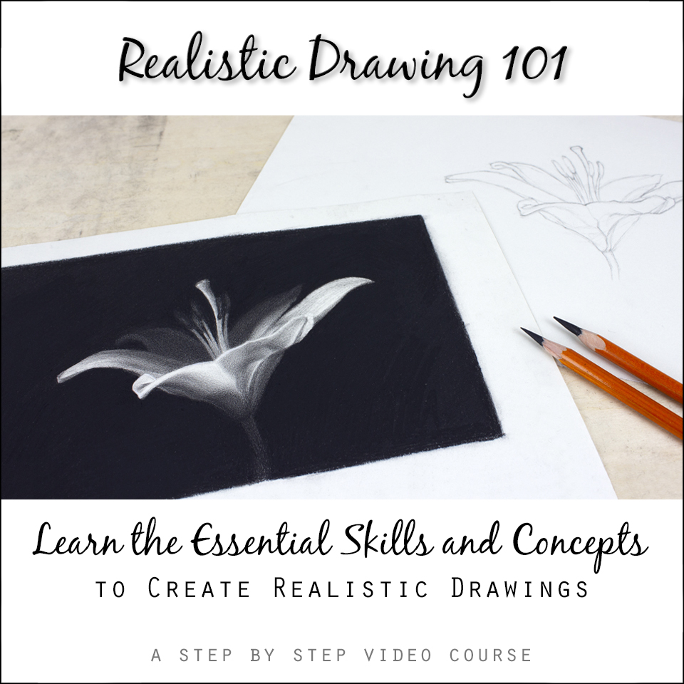 Learn to Draw with Drawing Tutorials, Exercises and Lectures