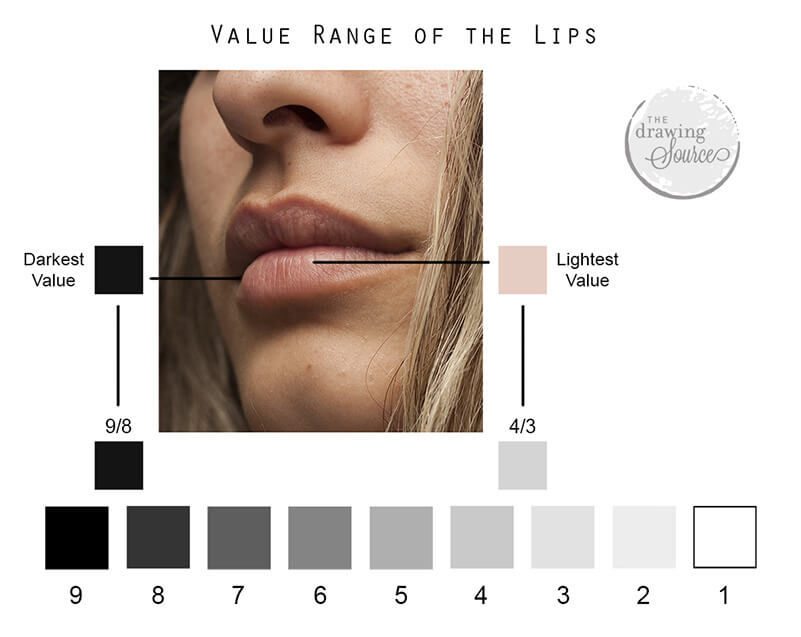 Analyzing the value range of the lips