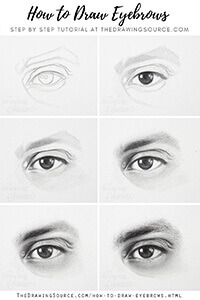 How to Draw Eyebrows: Step by Step Realistic Drawing Tutorial