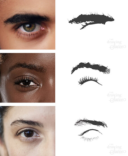 How to Draw Eyebrows  Create Your Own Easy Eyebrow Drawing
