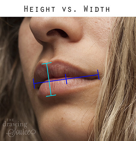 Photo of a womans lips with lines showing how to use comparative measurement to determine the height and width of the lips for realistic drawing