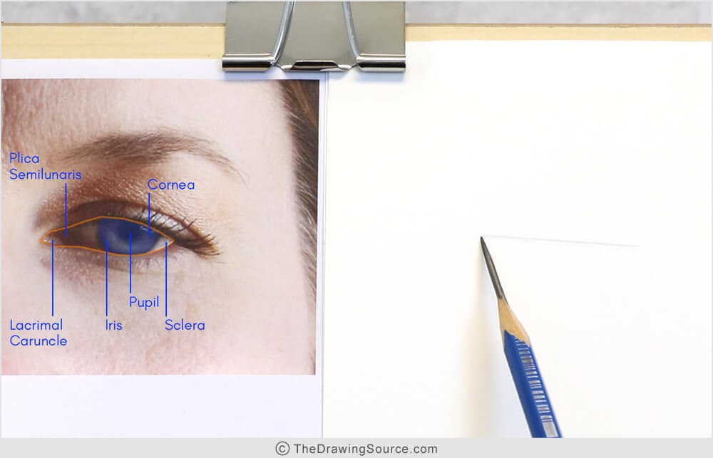 Eyes Drawing: How to Draw Eyes