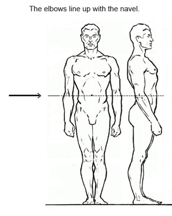 Drawing the Human Figure: Shapes, Sizes & Body Types  Human figure,  Fashion figure drawing, Human body shape