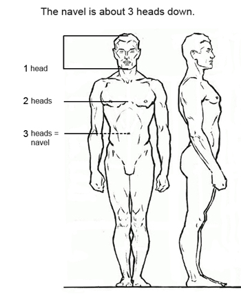 Learn Anatomy Drawing